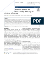 Development of Specific Primers For Fusarium Oxysporum Causing Damping Off of Lilium Formolongi