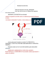 Sistemul Excretor-Bac