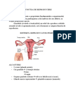 Sistemul Reproducator-Bac