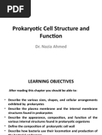 Micro CHAPTER 3 Prokaryotes