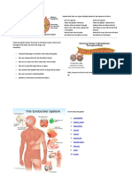 Exocrine Glands-Endocrine Glands