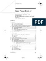 Basic Phage Biology: Burton Guttman, Raul Raya, and Elizabeth Kutter