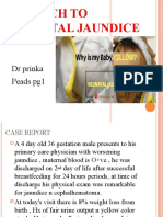 Approch To Neonatal Jaundice: DR Prinka Peads pg1