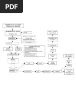 Impetigo Pathophysiology