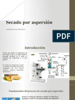 Secado Por Aspersión - Exposición