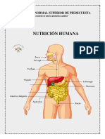 Nutricion PDF