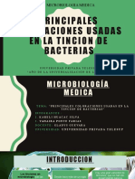 Principales Coloraciones Usadas en La Tincion de Bacterias