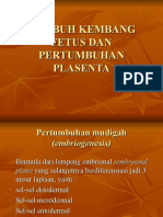 Tumbuh Kembang Fetus Dan Pertumbuhan Plasenta