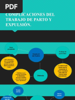 Complicaciones Del Trabajo de Parto y Expulsión