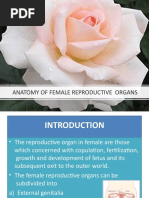 Anatomy of Female Reproductive Organs