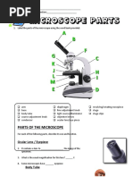 13 - Microscope Parts - PowerPoint Worksheet