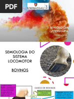 Aula 13 - Semiologia Do Sistema Locomotor