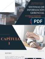 Sistema de Informacion Gerencial-1