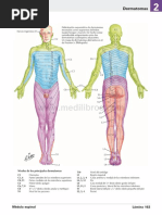 Atlas de Anatomia Humana Netter 6ed Medilibros - Com 94