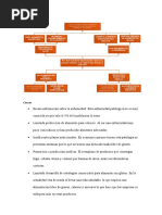 Ejemplo Arbol de Problemas