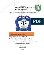 Feminicidio Peru