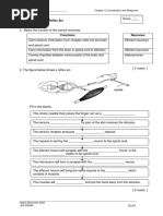 WORKSHEET 12.4: Reflex Arc: Name: - Chapter 12 Coordination and Response