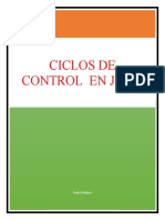 Ciclos de Control