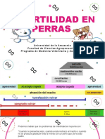 Infertilidad en Perras