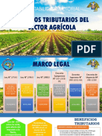 Regimen Agrario (Igv - Impuesto A La Renta)