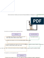 Reglas Ortográficas de LL y Y para Primer Grado de Secundaria