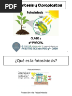 CLASE 2 - Fotosíntesis