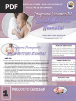 TAREA INDIVIDUAL - PP Salud Materno Neonatal