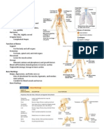 Skeletal Tissues Handouts