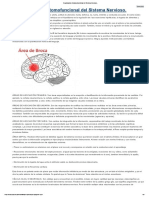 Organizacion Anatomofuncional Del Sistema Nervioso