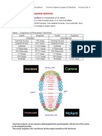 DPP Dental Terms PDF