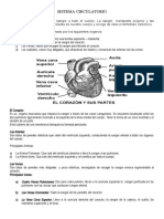 SISTEMA CIRCULATORIO AREA C y T