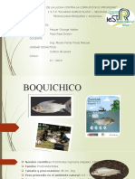 BOQUICHICO