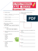 Examen 04 de Biologia para Sexto de Primaria