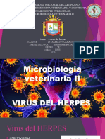 Herpes Expo Diapo