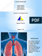 Trabajo Anatomia - S. Respiratorio