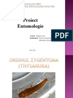 Ordinul Zygentoma