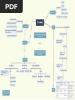 Mapa Conceptual Tema 12 Cerebelo PDF