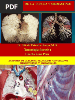 Semiologia Pleural 2020