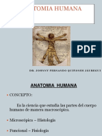 TEORÍA 1 ANATOMÍA HUMANA - GENERALIDADES UPSJB - Dr. Johnny Fernando Quiñones Jáuregui PDF