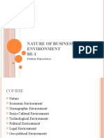 Nature of Business Environment