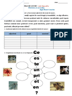 Fişă de Lucru - Pietricica - Si - Caracatita