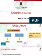 Presentacion Flagelados y Ciliados