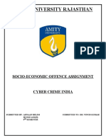 Amity University Rajasthan: Socio-Economic Offence Assignment