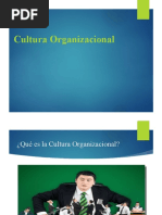 Cultura Organizacional