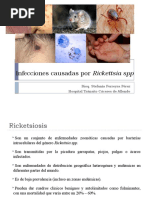 Infecciones Causadas Por Rickettsia SPP