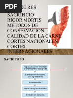 Sacrificio Rigor Mortis Métodos de Conservación Calidad de La Carne Cortes Nacionales Cortes Internacionales