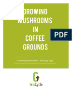 Growing Mushrooms in Coffee Grounds