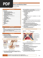 Hypothalamus and Pituitary Gland