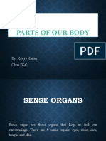 Parts of Our Body: By: Kavya Kumari Class IV-C