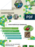 Introducción A Los Invertebrados PDF